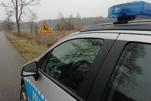 radiowóz w tle znak uważaj na dzikie zwierzęta.
