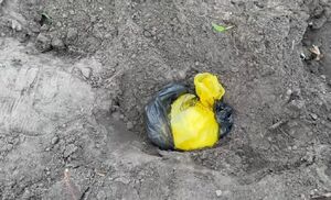 znalezione substancje zabronione.