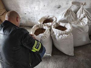 policjant wykonuje oględziny zabezpieczonego towaru akcyzowego.
